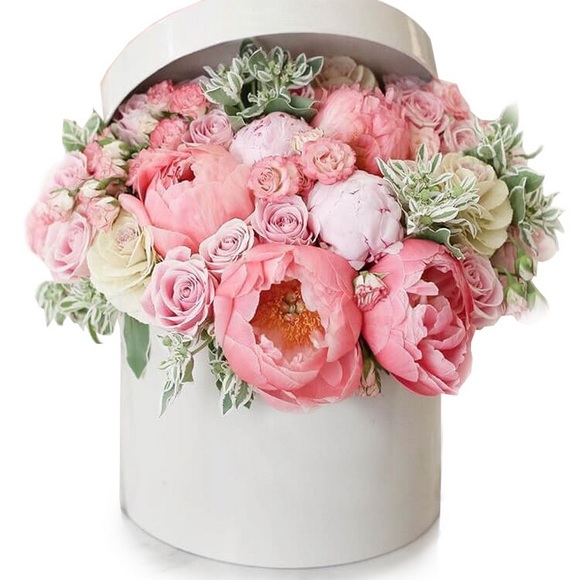 Meet your Posher, Eva - Picture 1 of 1